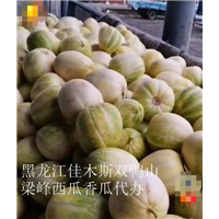 佳木斯哪里有代办新红宝西瓜
