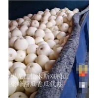 佳木斯哪里有代办盛丰大**西