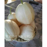 佳木斯代收西瓜怎么收费 