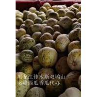 佳木斯哪里有西瓜代办的 