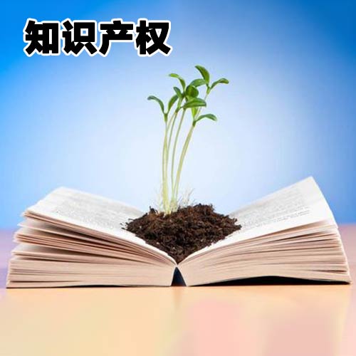 知识产权