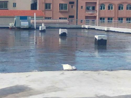 惠州免砸砖防水电话多少 