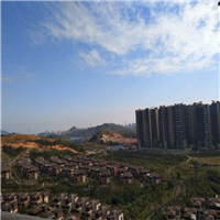 姓名学大师