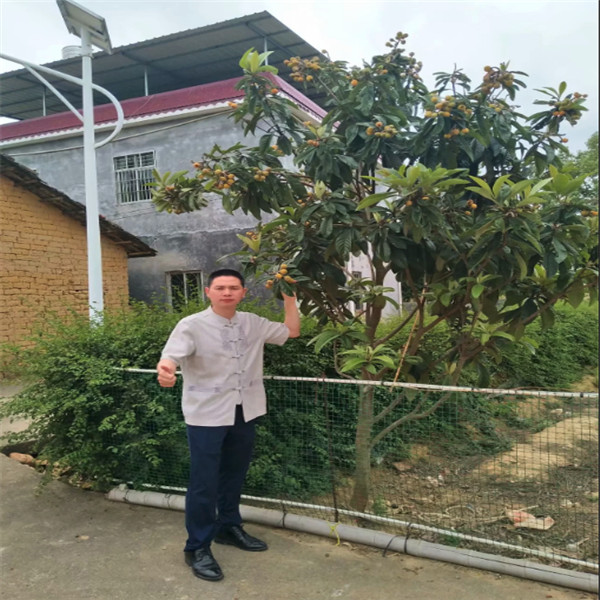 广州风水知识培训公司