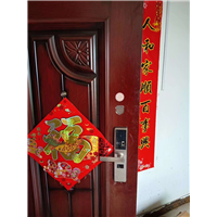 宁远智能开锁功能