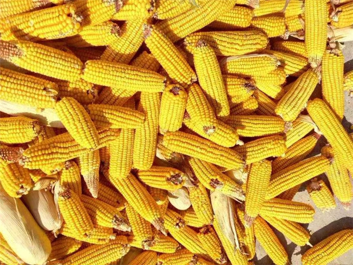 粮食加工 