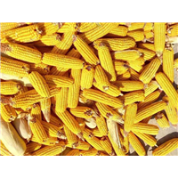 粮食加工