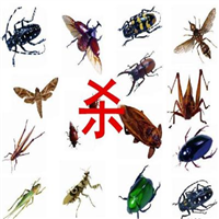 宜春灭鼠