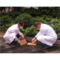 宜春灭白蚁