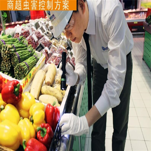 宜春超市灭鼠灭蟑螂