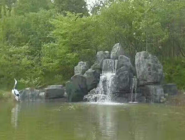 绍兴假山鱼池施工a盐城假山鱼池施工