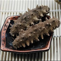 抚顺海参回收价格