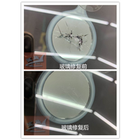 温州汽车玻璃修复 