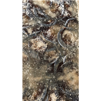 海蜇皮2 