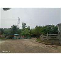 长沙狗狗训练