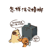 邯郸专业除虫除蚁服务保证除虫除蚁提供除蟑螂除蚊蝇等 