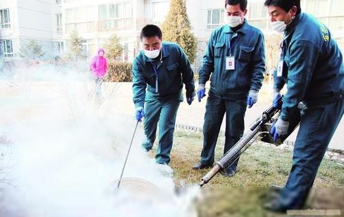 邯郸蚊子防治与消杀 