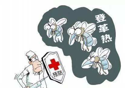 邯郸岚康专业安全放心除虫除蚁轻松灭蟑螂高招灭老鼠 