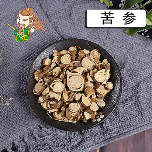 种植出售苦参 