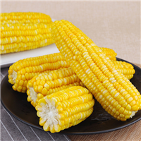 玉米