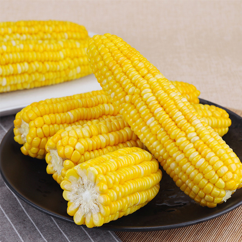 玉米 