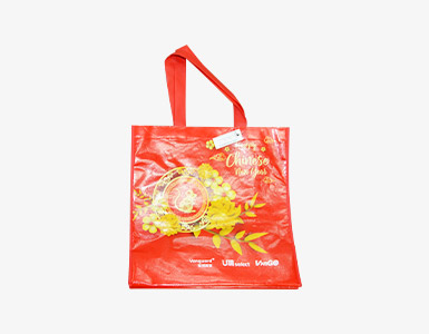 新疆无纺布手提袋