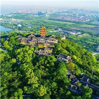 景区绿化 