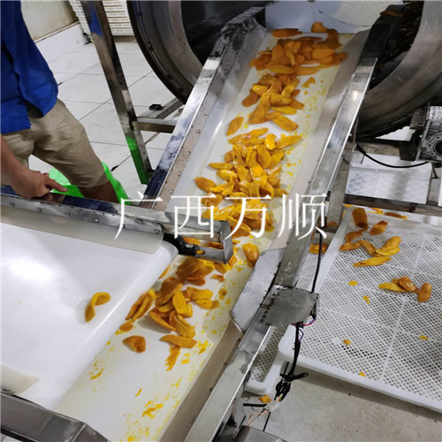 芒果烘干输送带接料 