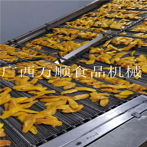芒果烘干盾环投料 