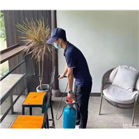 合肥灭蟑螂公司电话