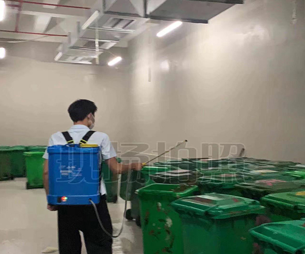 合肥专业杀虫公司