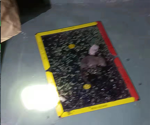 合肥除虫公司电话