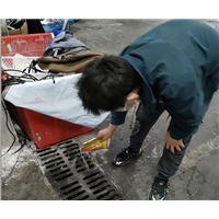 合肥灭老鼠公司