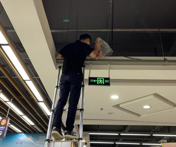 合肥灭鼠灭蟑螂公司