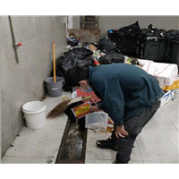合肥专业灭鼠公司