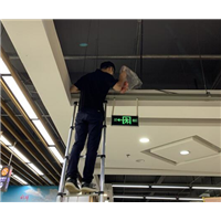 合肥灭鼠灭蟑螂公司