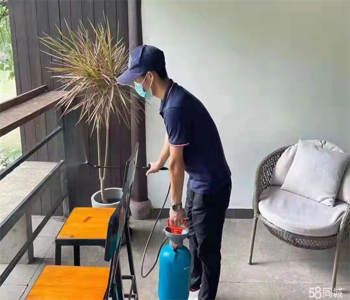 合肥灭蟑螂公司电话