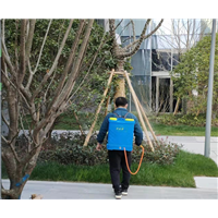 合肥除虫公司