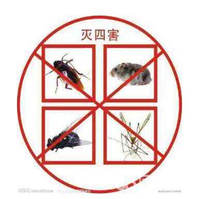 宜宾灭鼠