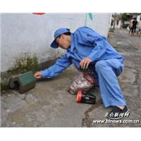 宜宾灭鼠