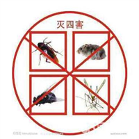 宜宾灭鼠