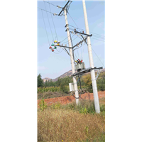 家庭农场