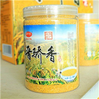 晋骄香小米 