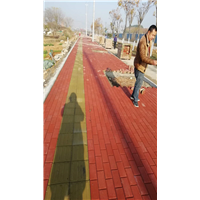 武汉彩砖厂家1