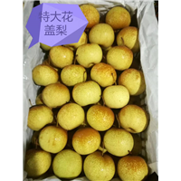 花盖梨 