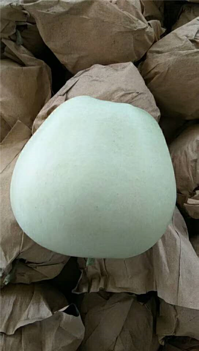 黄元帅苹果 