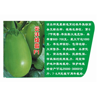 云沣绿霸F1