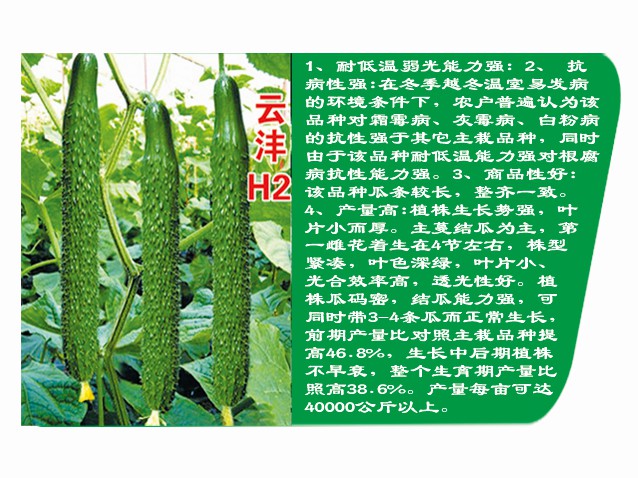 云沣H2 