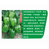 云沣经典