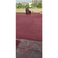 广东全塑型跑道